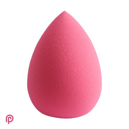 Biol-Smooth-Sponge-Blender-500x500